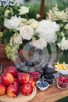 Wedding catering outdoor close up. food on buffet on wedding celebration