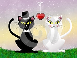 Wedding of cats