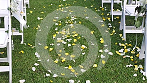 Wedding celebration. Yellow & White rose petals down the aisle