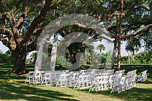 Wedding ceremony alter chairs under oak tree