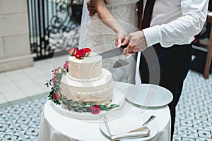 Wedding ceremony. the bride and groom make their first case together, cut the white wedding cake