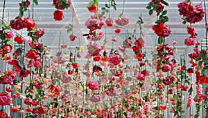 Wedding ceremony decoration with many artificial flower hanging from ceiling. Beautiful Upside down flowers