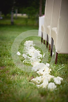 Wedding ceremony in a garden