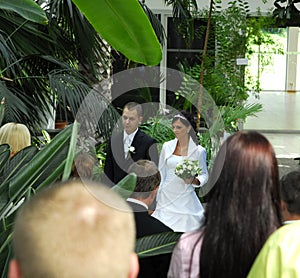 Wedding ceremony in garden