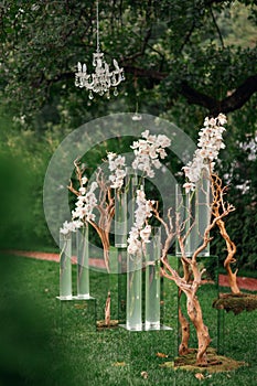 Wedding ceremony orchid flowers decor