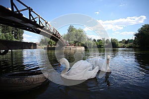 Wedding ceremony outdoors