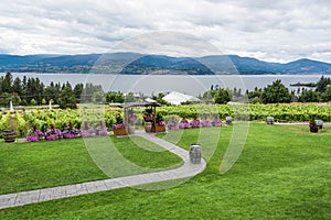 Wedding ceremony place on the vineyard with panoramic view on Okanagan lake.