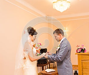 Wedding ceremony in a registry office painting, marriage.