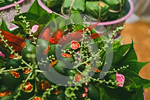 Wedding ceremony in Vietnam: Areca fruit important offerings