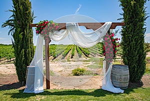 Wedding Ceremony by a Vineyard