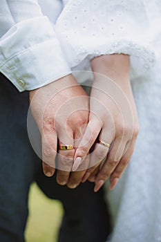 wedding ceremony, wedding rings on fingers