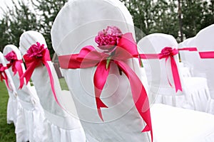 Wedding chairs