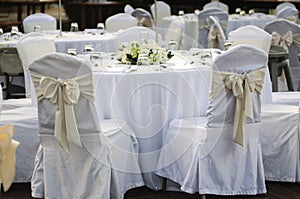 Wedding Chairs