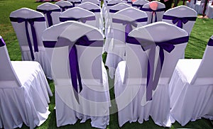 Wedding chairs