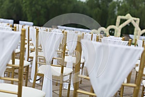 Wedding chairs