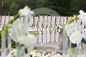 Wedding chairs