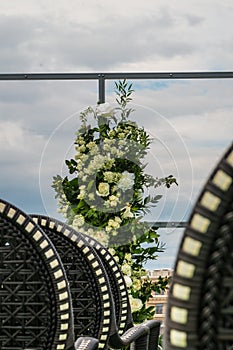 Wedding chairs aisle with green plants decorated on the floor