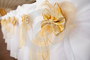 Wedding chairs decorated with golden color ribbon