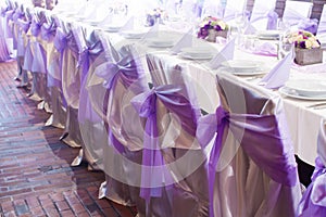 Wedding chairs with silk ribbons