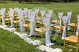 Wedding chairs