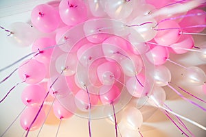 Wedding or children birthday party decoration interior . Helium balloons . Pink and white balloons float on the white ceiling in