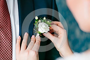 Wedding . Close up bride`s hands pinning boutonniere to groom` jacket