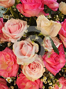 wedding colorful rose bouquet. Fresh, lush bouquet of colorful flowers. rose flower blooming