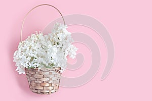 wedding concept. beautiful white hydrangea flowers in a wicker basket on a pink background.
