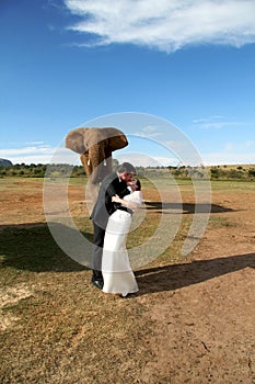 Wedding Couple and African elephant shoot