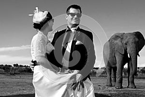 Wedding Couple and African elephant shoot