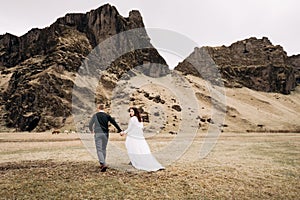Wedding couple on the background of a rocky mountain and grazing horses in Iceland. The bride and groom are walking on