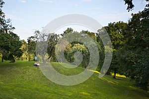 Wedding couple - bride and groom - seating on green grass on hill