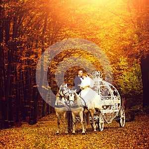 Wedding couple in carriage