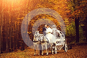 Wedding couple in carriage