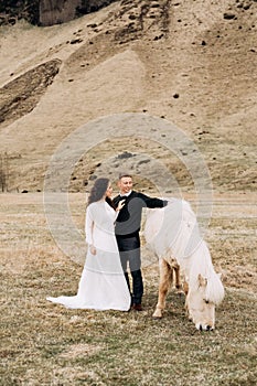 A wedding couple and a cream-colored horse with a chic mane. A horse is eating grass. The groom hugs the bride