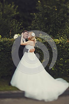 A wedding couple daydreams standing behind a green hedge photo