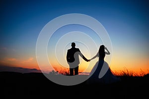 Wedding couple in field. Bride and groom together.