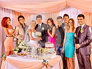 Wedding couple and guests drinking champagne