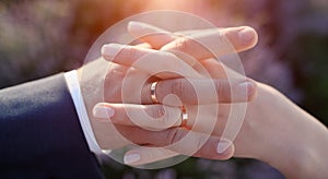 Wedding couple hands with engagement rings on background of lavender flower field and sunset