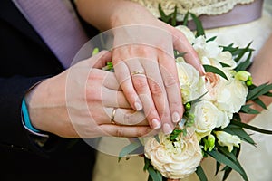 Wedding couple hands with wedding rings