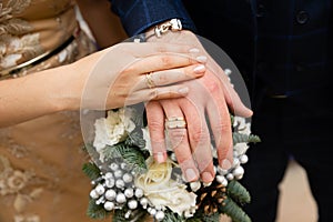 Wedding couple hands with wedding rings