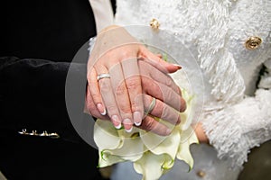 Wedding couple hands with wedding rings