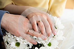 Wedding couple hands with wedding rings