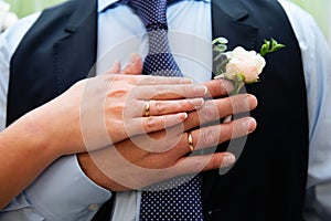 Wedding couple hands with wedding rings