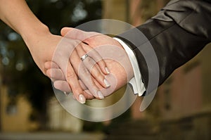 Wedding - couple holding hands