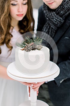 A wedding couple holds a beautiful white wedding cake, decorated with pine branch, cones and cinnamone, standing over photo