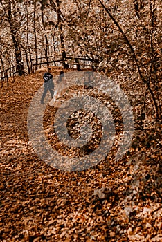 Wedding couple in love man and woman walking in autumn forest