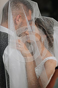 wedding couple on nature. bride and groom hugging under the veil