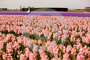 Wedding couple posing in field