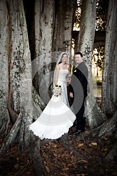 Wedding couple under tree